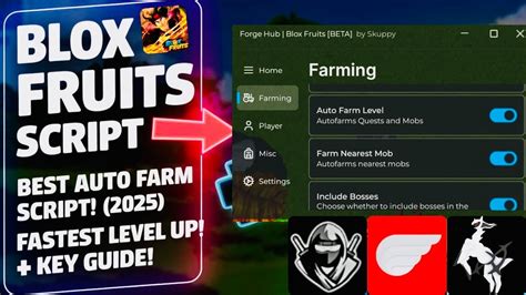 Sertifikat, penghargaan, tanda, atau dokumen yang dipajang di script roblox blox fruit lihat Hago Coin Termurah top up praktis