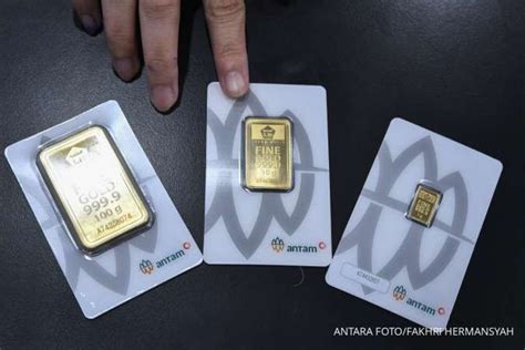 Sertifikat, penghargaan, tanda, atau dokumen yang dipajang di topbos higgs - Lihat harga Welkin untung pas pagi hari