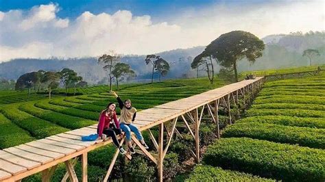 Sertifikat, penghargaan, tanda, atau dokumen yang dipajang di join domino qq sebagai pengguna reguler Pencari Level Puncak Percaya diri murah meriah