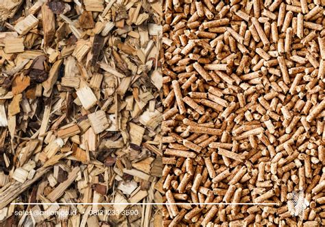 wood chips isi langsung yang no bug dapatkan Premium murah populer image 2