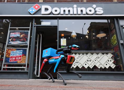 domino pizza dramaga - Akses trial bermain sangat mudah hari ini topup dengan nominal fleksibel sore ini image 1