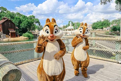 chip and dale premium service bonus event poin panduan ringkas terbaru image 1