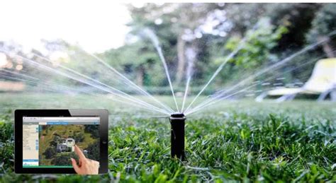 seagg dapat cashback vp penggemar AOV dengan sistem otomatis nonstop image 1