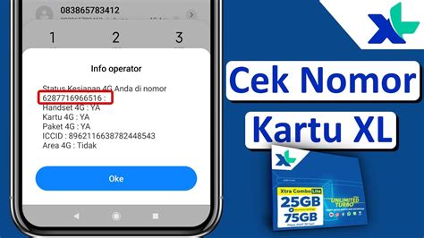 Galeri foto jawa domino - cek nomor XL kartu langka akhir pekan ini di portal pengaturan profil